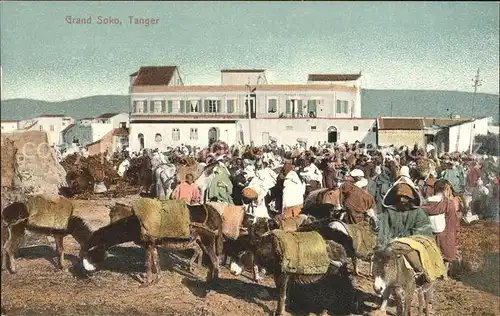 Tanger Tangier Tangiers Markt Esel  / Marokko /