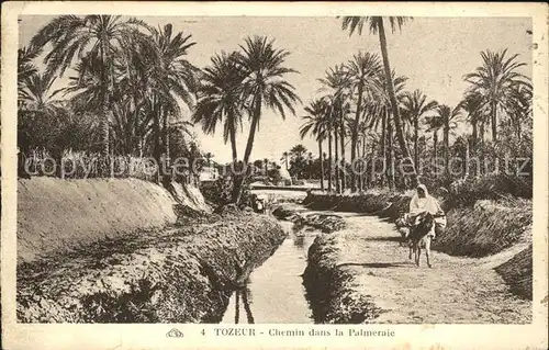 Tozeur Chemin dans la Palmeraie Kat. Tunesien