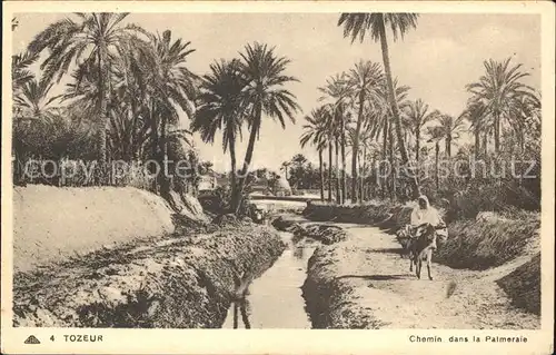 Tozeur Chemin dans la Palmeraie  Kat. Tunesien