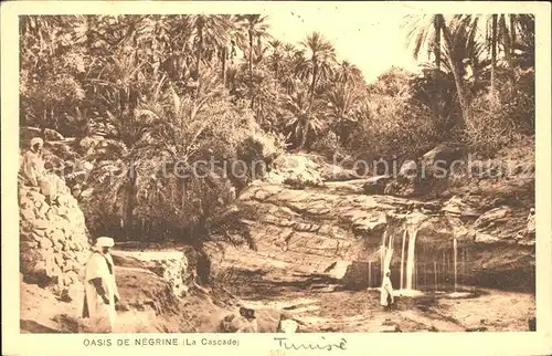 Negrine Oasis Cascade  Kat. Algerien