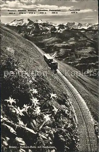 Brienz Rothornbahn Hochalpen Edelweiss  Kat. Eisenbahn