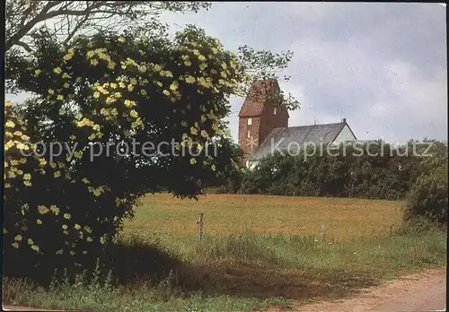 Keitum Sylt Kirche Kat. Sylt Ost