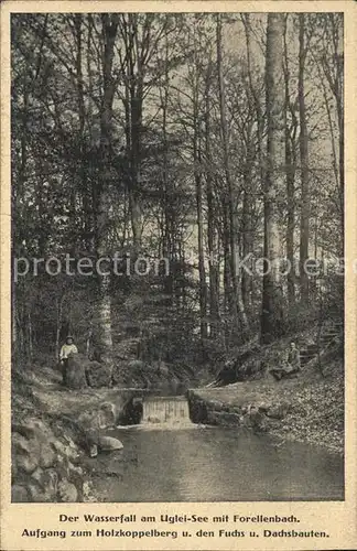 Uglei See Wasserfall Forellenbach Aufgang Holzkoppelberg Fuchs Dachsbauten Kat. Suesel