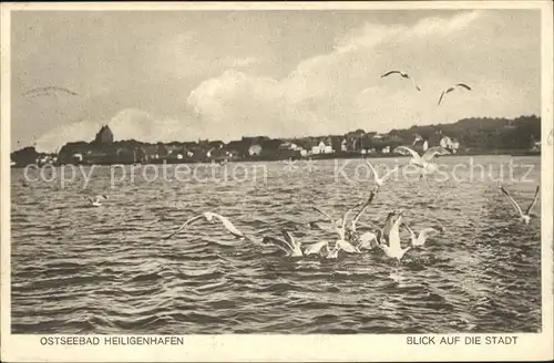 Heiligenhafen Ostseebad Blick auf die Stadt Moewen Kat. Heiligenhafen