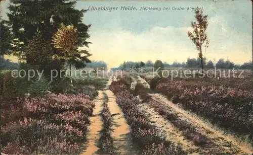 Lueneburger Heide Heideweg bei Grube Wiechel Kat. Walsrode