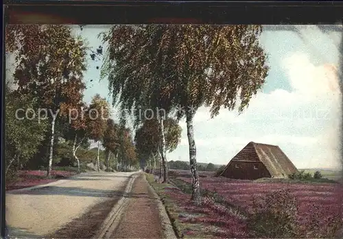 Lueneburger Heide Garlstorf  Kat. Walsrode