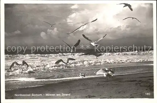 Borkum Nordseebad Moewen am Strand / Borkum /Leer LKR