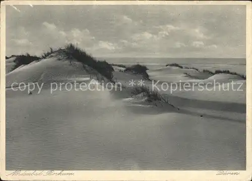 Borkum Nordseebad Duenen