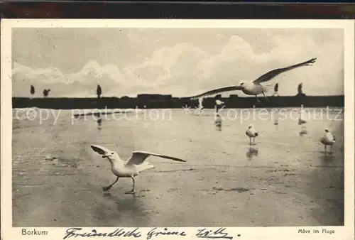 Borkum Nordseebad Moewe / Borkum /Leer LKR