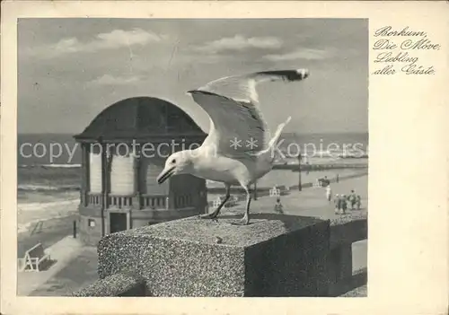 Borkum Nordseebad Moewe