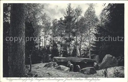 Lueneburger Heide Truppenuebungsplatz Bergen Kat. Walsrode