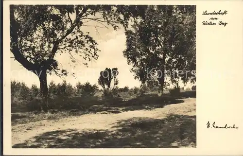 Lueneburger Heide Landschaft am Wietzer Berg Kat. Walsrode