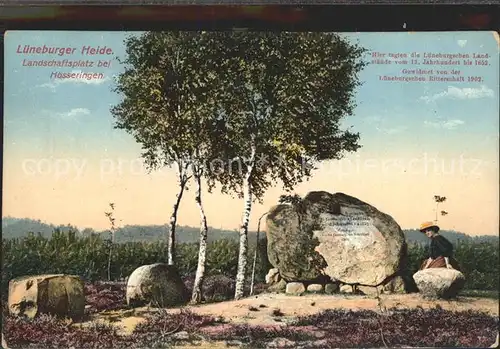 Lueneburger Heide Landschaftsplatz Haessingen Kat. Walsrode