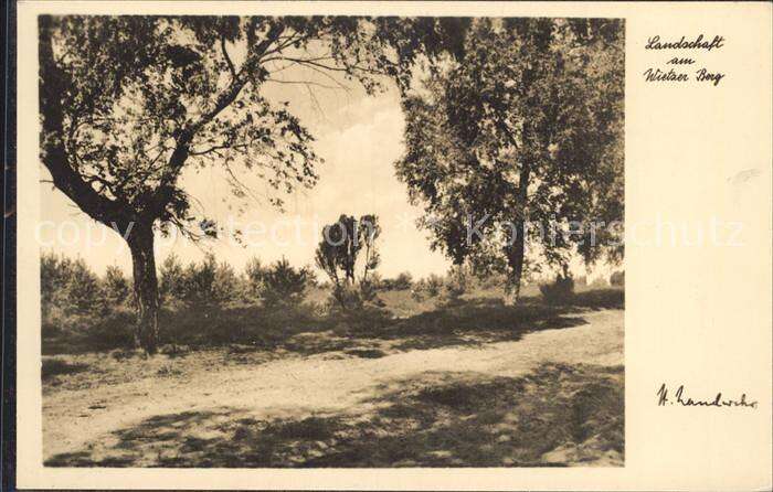 Lueneburger Heide Landschaft am Wietzer Berg Kat. Walsrode