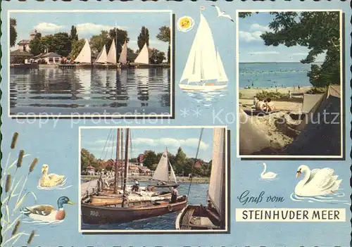 Steinhuder Meer Segelregatta Bootshafen Strand Camping Kat. Wunstorf
