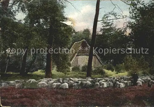 Lueneburger Heide Schnuckenstall Wilseder Berg Kat. Walsrode