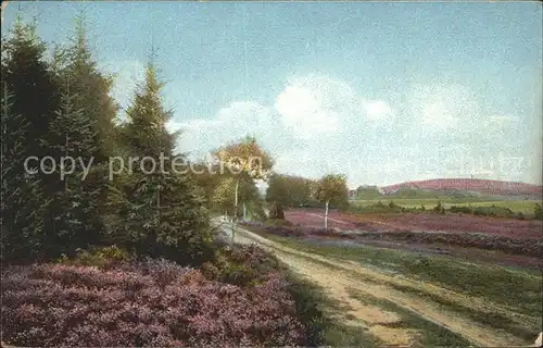 Lueneburger Heide Weg zum Wilseder Berg Kat. Walsrode