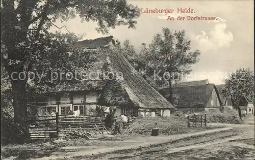 Lueneburger Heide An der Dorfstrasse Kat. Walsrode