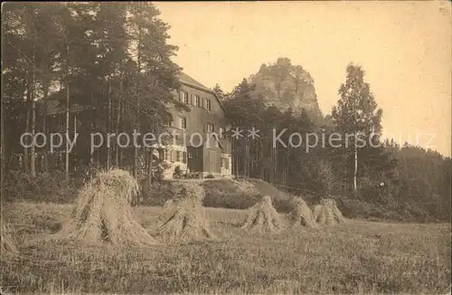 Schoena Elbe Naturfreundehaus am Zirkelstein Kat. Reinhardtsdorf Schoena