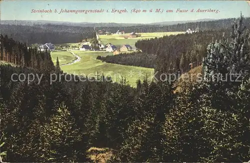 Steinbach Erzgebirge am Fusse des Auersberg Kat. Johanngeorgenstadt