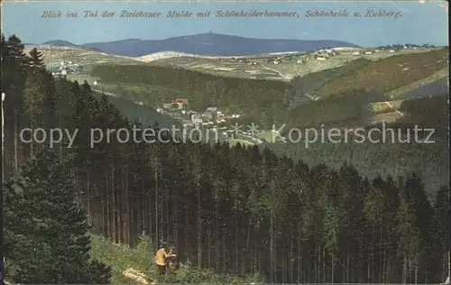 Schoenheiderhammer Blick ins Tal der Zwickauer Mulde Kuhberg