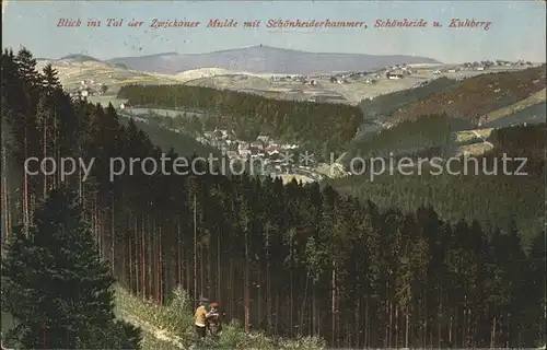 Schoenheiderhammer Blick ins Tal der Zwickauer Mulde Kuhberg