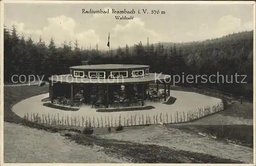 Brambach Bad Radiumbad Waldcafe  Kat. Bad Brambach