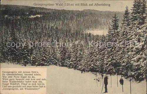 Georgengruen Vogtland Albertsberg Ski  Kat. Auerbach