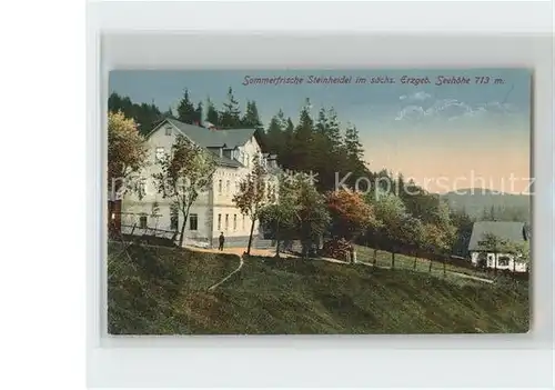 Steinheidel Gasthaus Kat. Breitenbrunn Erzgebirge
