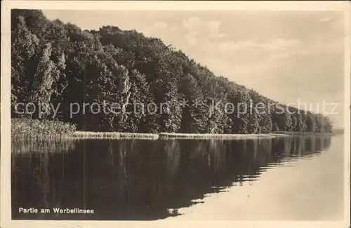 Werbellinsee Altenhof Seepartie Kat. Schorfheide