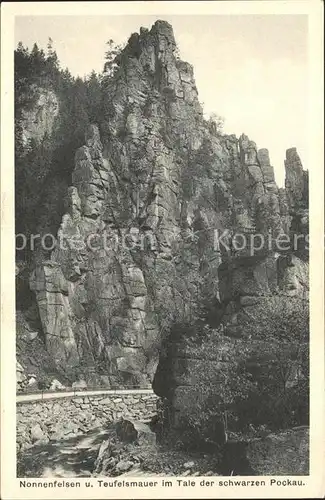 Zoeblitz Sachsen Nonnenfelsen Teufelsmauer im Tale der schwarzen Pockau Felsen Erzgebirge Kat. Zoeblitz