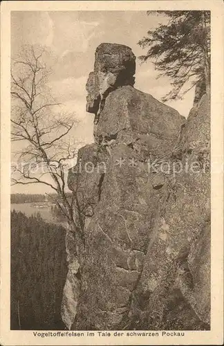 Zoeblitz Sachsen Vogeltoffelfelsen im Tal der schwarzen Pockau Erzgebirge Kat. Zoeblitz