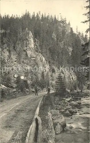 Zoeblitz Sachsen Partie am Katzenstein Schwarzwassertal Felsen Erzgebirge Kat. Zoeblitz