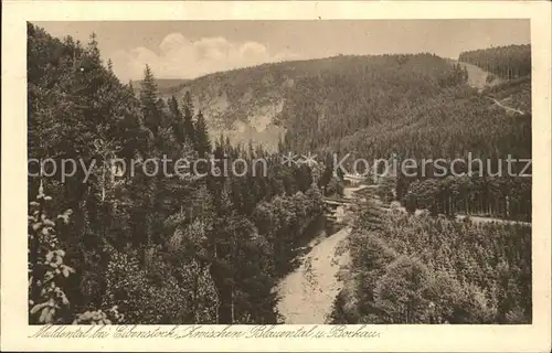 Muldenthal Blauental und Bockau Erzgebirge Kupfertiefdruck Kat. Wechselburg