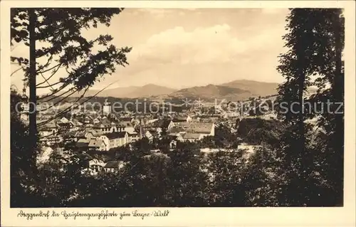 Deggendorf Donau Panorama Kat. Deggendorf