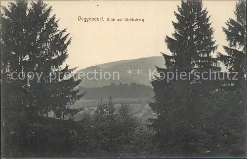 Deggendorf Donau Blick auf Ulrichsberg Kat. Deggendorf