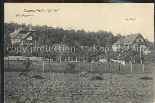 Gohrisch Villa Wustmann Erholungsheim Haidehof / Gohrisch /Saechsische Schweiz-Osterzgebirge LKR