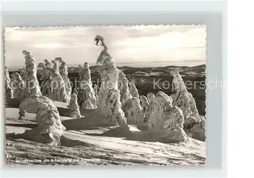 Arber Gipfel mit Alpenblick