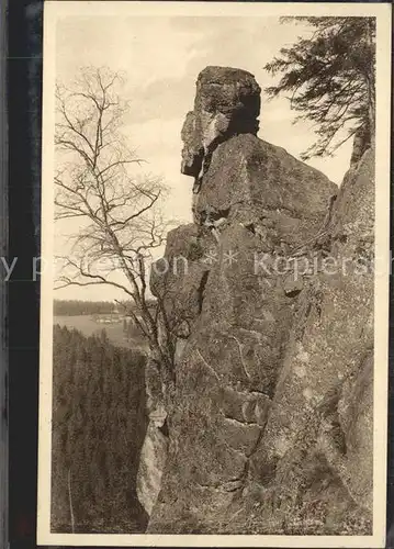 Zoeblitz Sachsen Vogeltoffelfelsen im Tal der schwarzen Pockau Kat. Zoeblitz