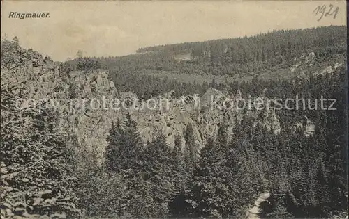 Zoeblitz Sachsen Ringmauer im Tal der schwarzen Pockau Kat. Zoeblitz