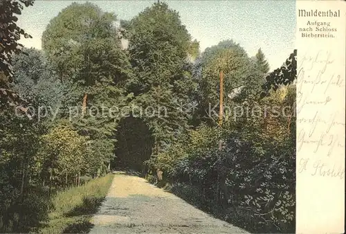 Bieberstein Rhoen Sachsen Aufgang zum Schloss Bieberstein / Reinsberg Freiberg /Mittelsachsen LKR