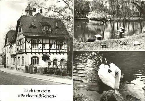 Lichtenstein Hohenstein Ernstthal Parkschloesschen Schwanenteich Schwan Kat. Hohenstein Ernstthal