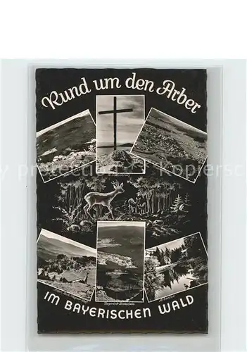 Arber Schutzhaus Gipfelkreuz Bodenmais Richard Wagner Kopf Bayr Eisenstein Arbersee