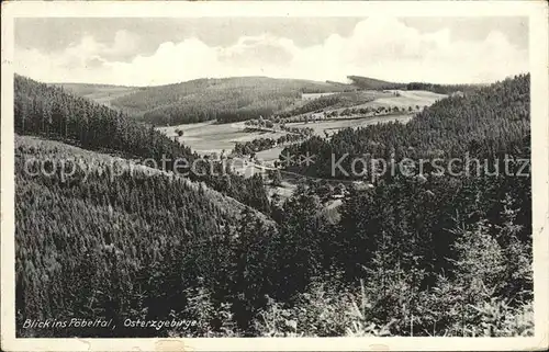 Poebeltal  Kat. Schmiedeberg Osterzgebirge
