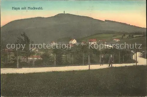 Hayn Oybin Blick zum Hochwald Aussichtsturm