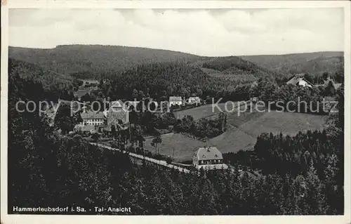 Hammerleubsdorf Talansicht Kat. Leubsdorf Sachsen