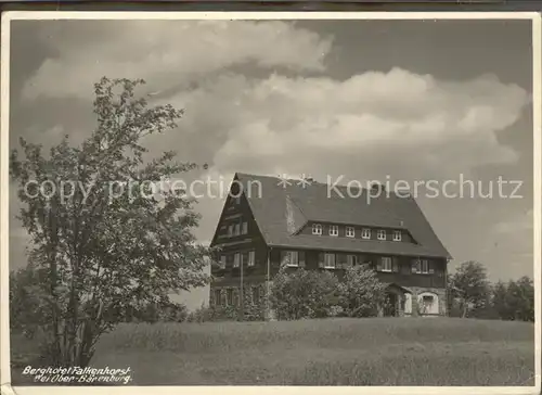 Oberbaerenburg Berghotel Falkenhorst /  /