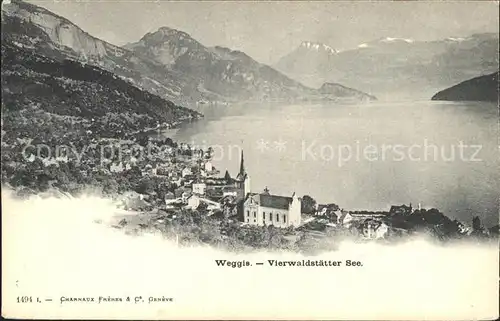 Weggis LU Panorama Vierwaldstaettersee Alpen Kat. Weggis
