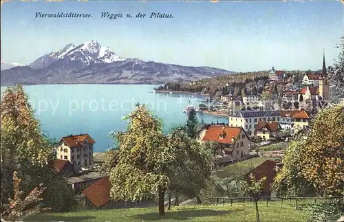 Weggis LU Panorama Vierwaldstaettersee Pilatus Voralpen Kat. Weggis