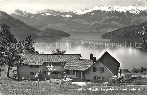 Weggis LU Aargauisches Blaukreuzheim Alpenpanorama Kat. Weggis